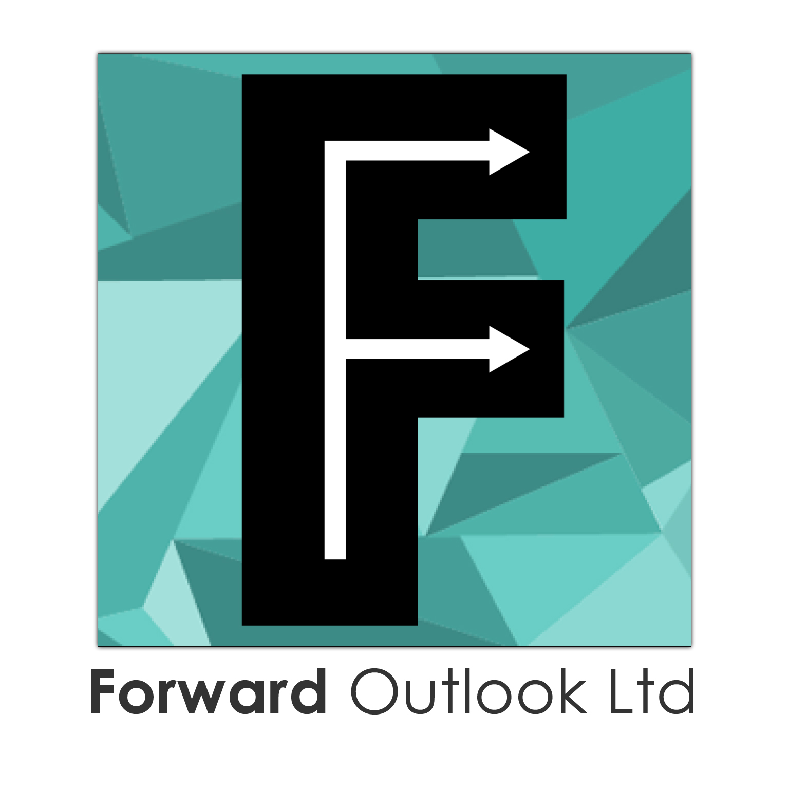 Forward Outlook Ltd