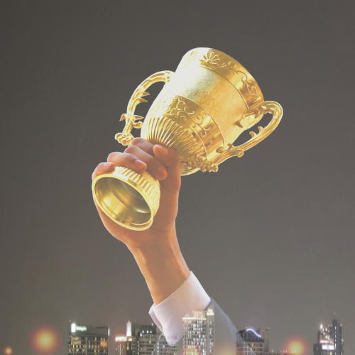 Progression Secrets For Goal Owners. Award winning business consultant brings you certifications and awards.